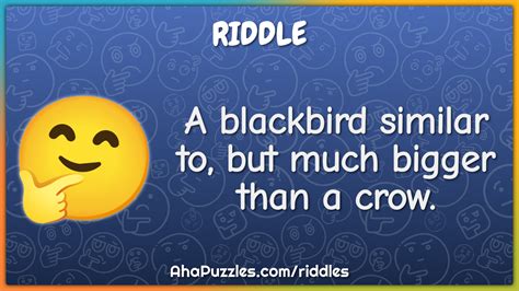 what are similar to riddles